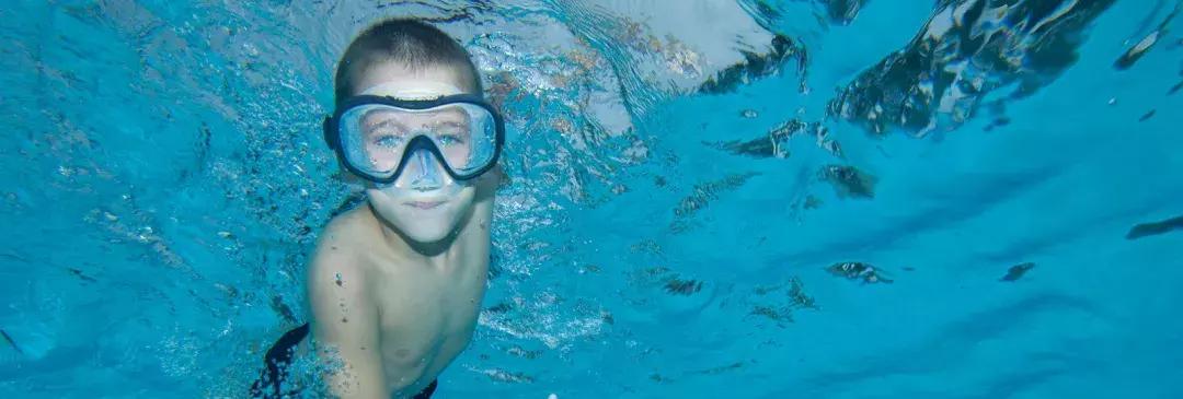 白本护照出境法国旅游免签吗,白本护照旅游去哪个国家比较好