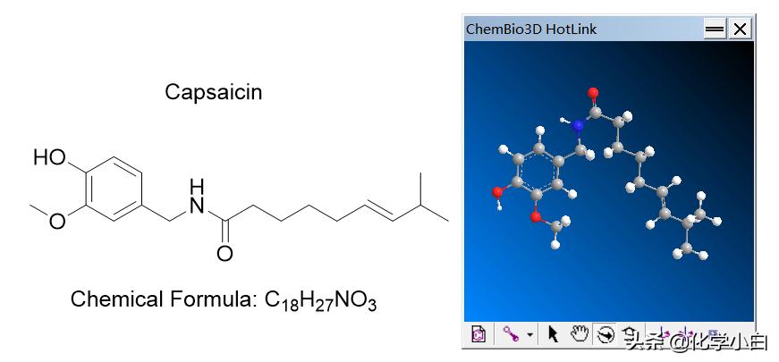 无辣不欢？“热”辣与“冷”辣——辣椒素VS异硫氰酸烯丙酯