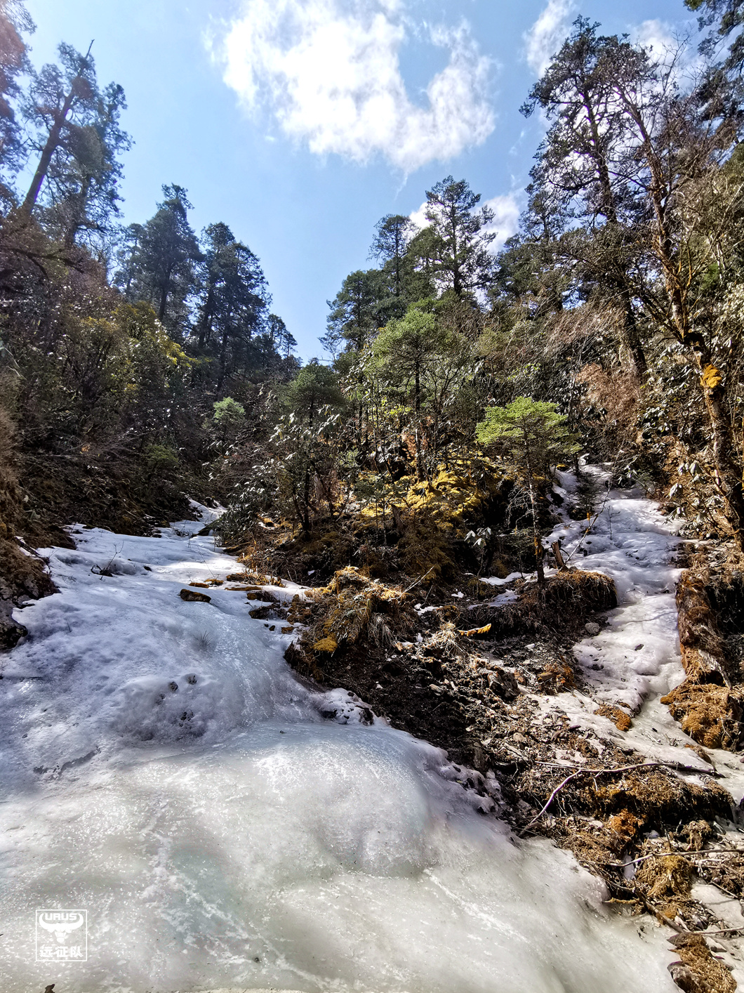 稻城亚丁至玛娜茶金如何走,四川木里县到玛娜茶金自驾