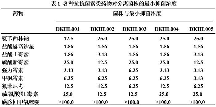 加州鲈苗期的病害,加州鲈鱼病害防治法