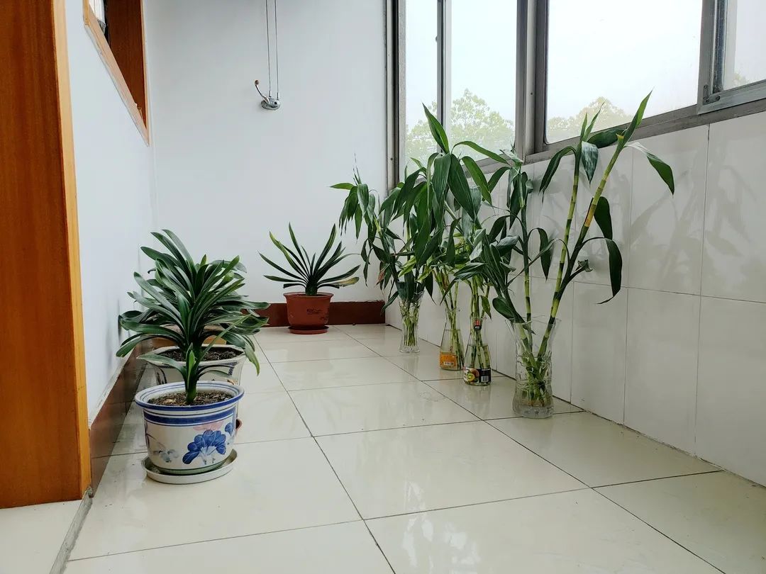 风景好的地方江阴,江阴好风景