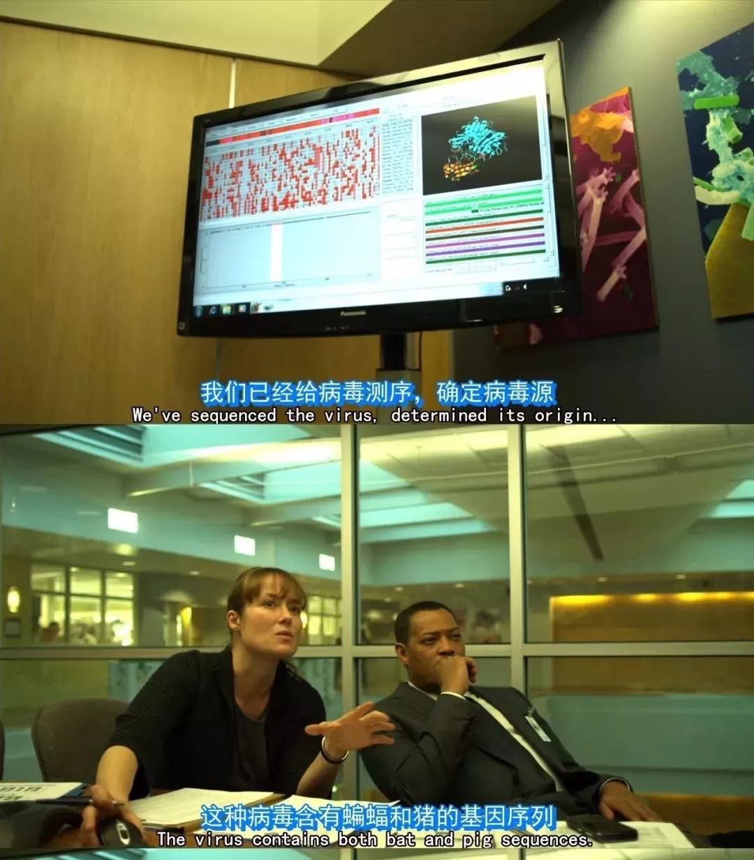 双黄连一夜脱销，这部电影里有人靠连翘赚450万美元