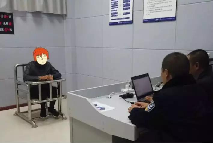 盗窃宠物狗怎么处理,蜀黍提醒