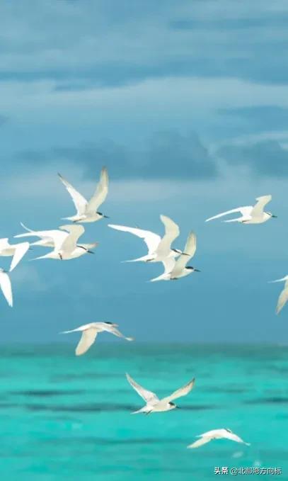 广西北海和三亚哪里好,广西北海比三亚好玩吗