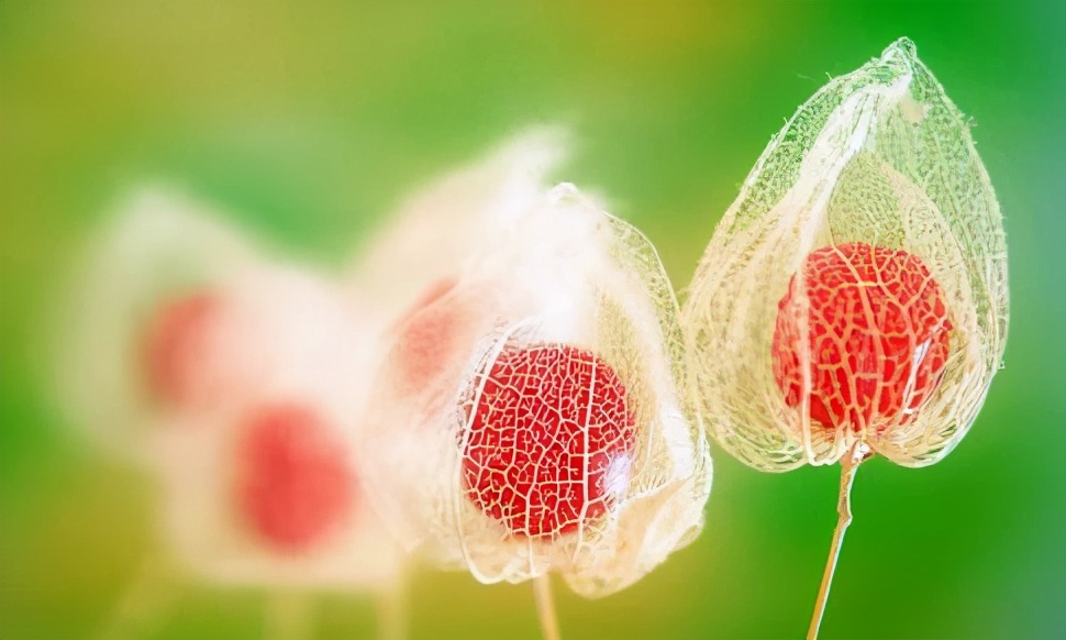 真正聪明的人身上有哪些特征,聪慧女人的特征