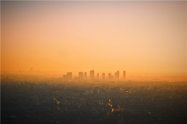 同路人老张,同路人老张干货分享