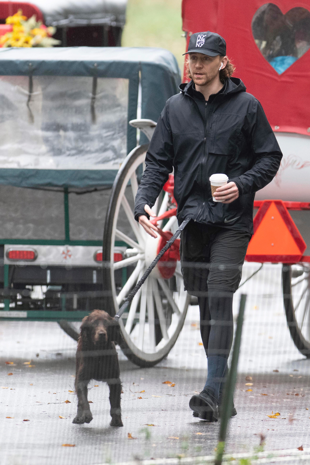 洛基出门遛狗,年轻洛基见到老年洛基