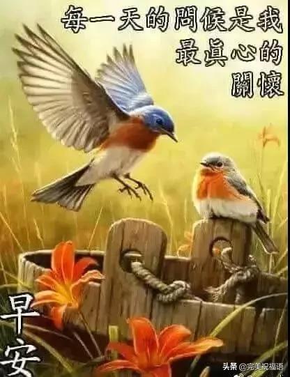 2019早安带字图片朋友圈,暖心早安祝福唯美图片带字