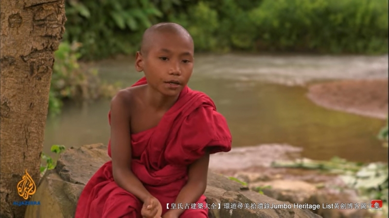 第1844回:皆伐破坏栖息生态,间伐劳工大象伐木