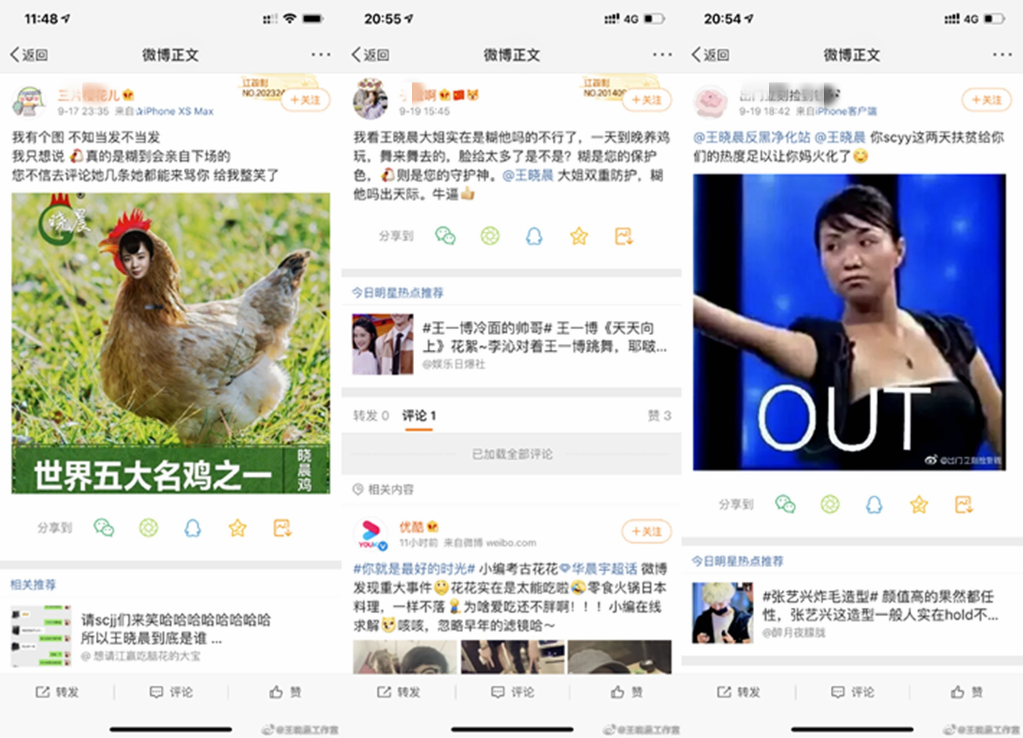 王晓晨气质绝美,王晓晨大气甜美知性率真