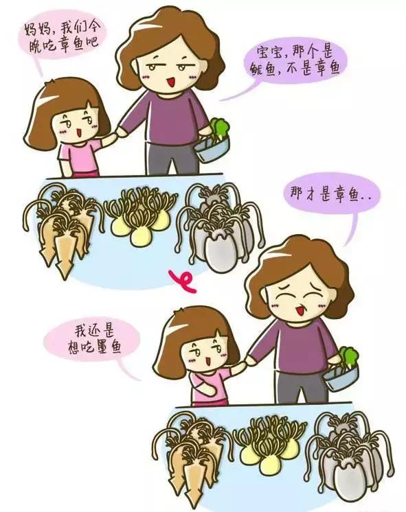 章鱼鱿鱼乌贼傻傻分不清,章鱼鱿鱼乌贼这三样有什么区别