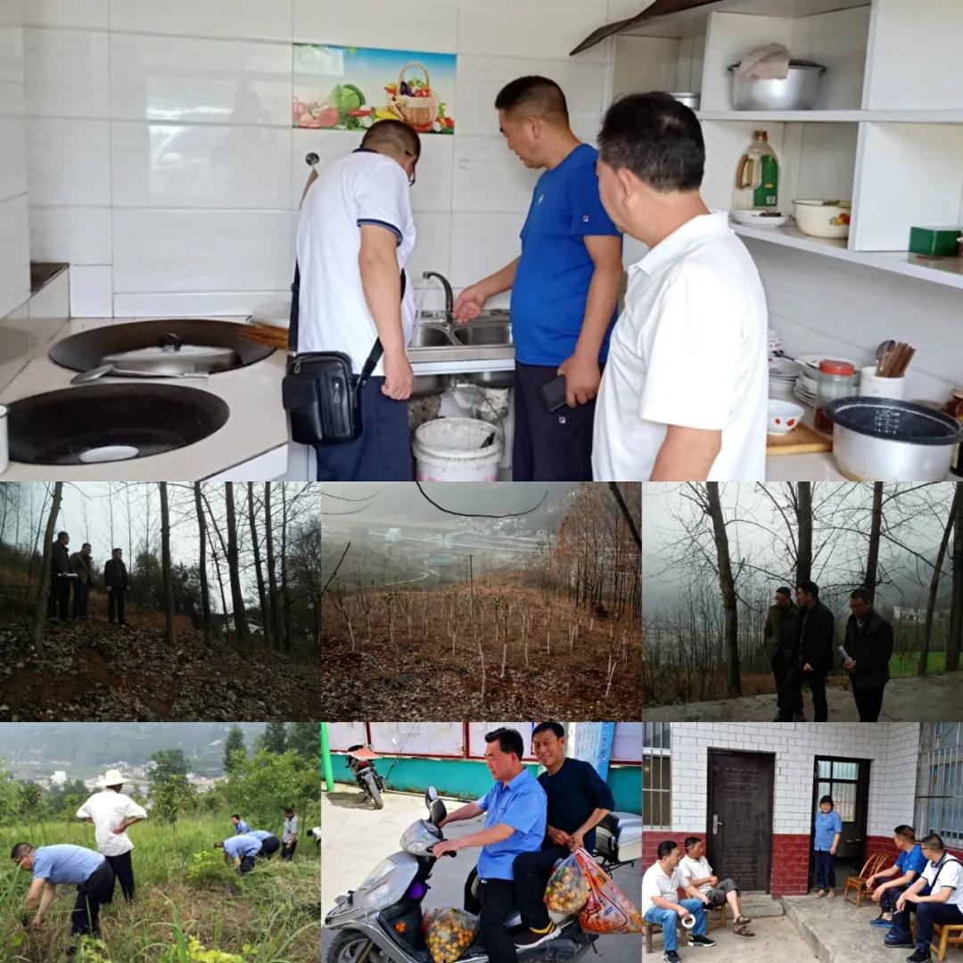 保康:大柳树下的“扶贫故事”