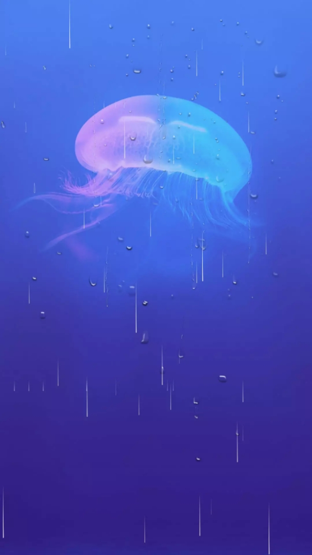 壁纸清新春日,壁纸春日清新