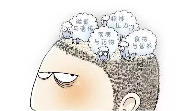 我国2.5亿人“秃了”,科学家找到“元凶”后反而更苦恼,咋回事