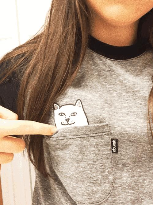 *戏调**Supreme的贱贱白猫RIPNDIP