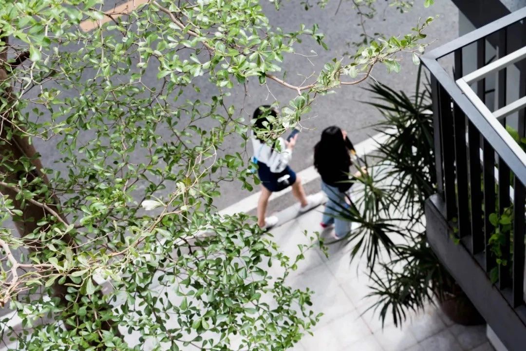 深圳十个小众打卡地,在深圳这些地方既小众又值得打卡