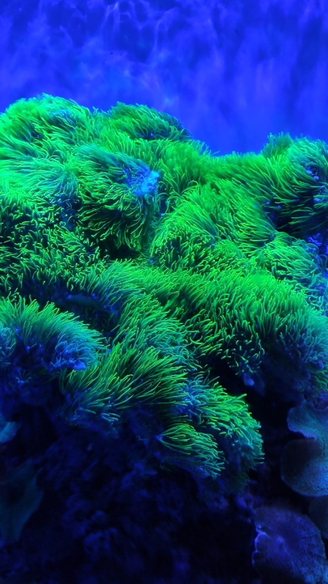 福州欧乐堡海洋世界家庭套票团购,福州欧乐堡海洋世界门票价格