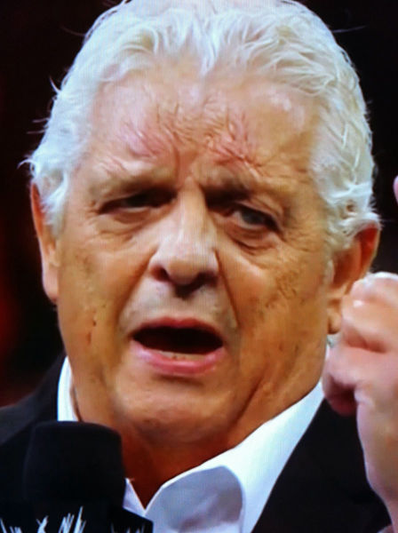 裁判在足球比赛中很重要吗,裁判在比赛中的重要性