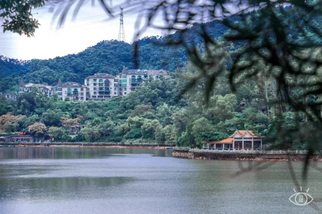 9号线上有什么景点吗,9号线游玩攻略大全