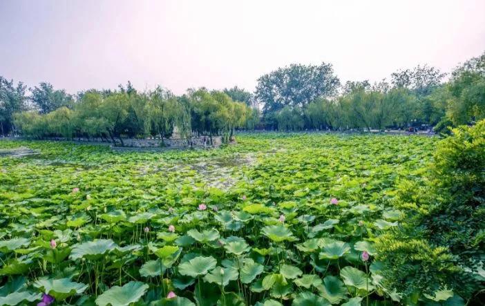 天津游玩攻略小众景点大全,天津免费景点游玩攻略大全