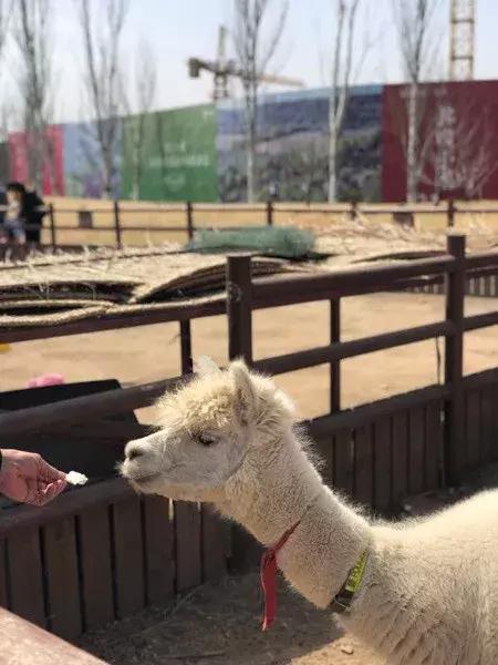 北京人少好玩的地方推荐,北京周边这8个免费古镇人少景美