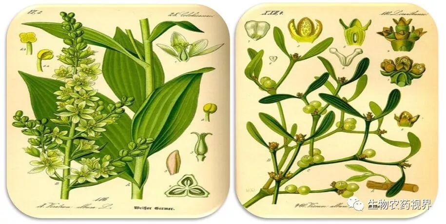 农药起源与现状,农药来源