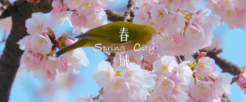 昆明哪有好玩的地方,昆明市内有什么好玩的地方