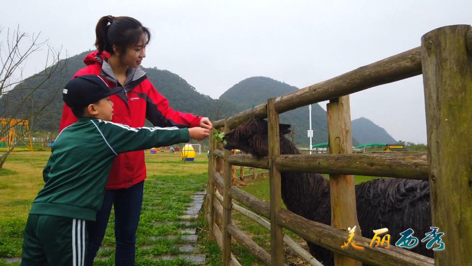 打卡金鸡山霞贯农庄,金鸡农场田园风光