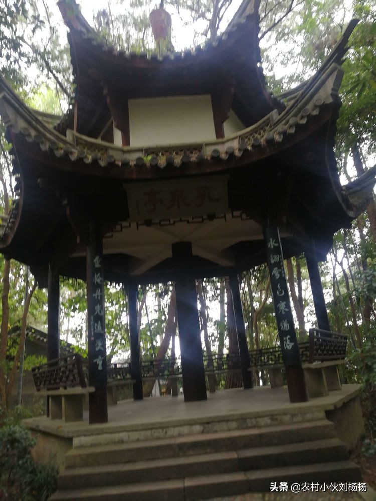 奉化溪口一日游攻略,奉化溪口一日游旅行社跟团多少钱