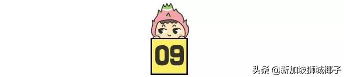 全世界最大的夜市在哪里,新加坡的夜市有哪些