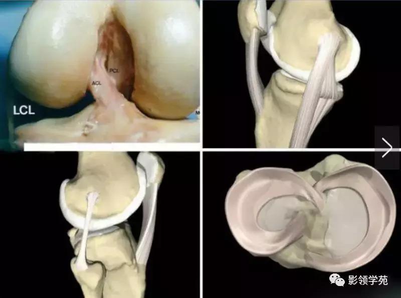膝关节常见疼痛原因及其缓解方法,膝关节疼痛的16种最常见原因速查
