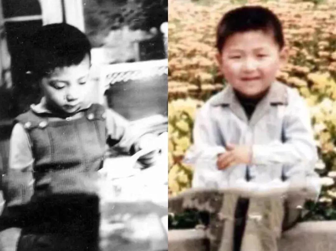 羽泉目前状况,羽泉的真正实力