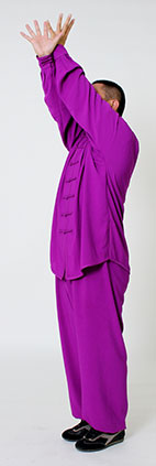 心意拳必学三招,心意六合拳十二把劲练法