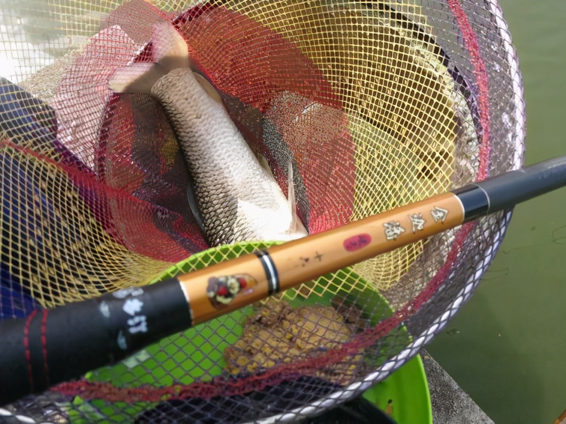 本汀金迦潘强硬弓测评,本汀金迦潘强弓鱼竿测评