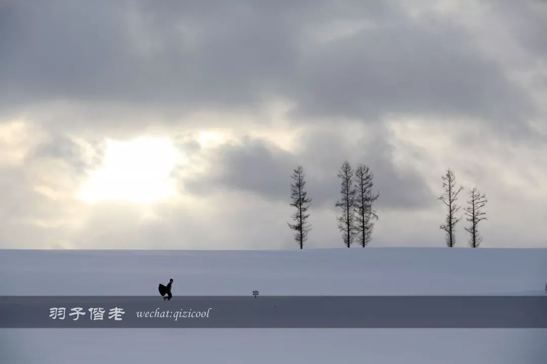 老实说，这一趟北海道就是为了拍好看的照片去的