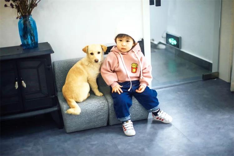 六六和“月半小娘鱼”生活在苏州大别墅，很多人想购买他们的自由