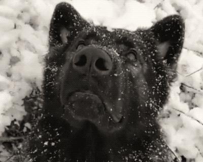 派派最新爆料,派派最新最真实报道