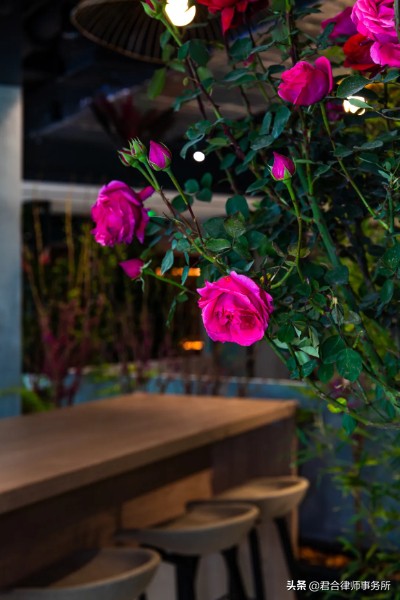 一家红圈律所的极致“凡尔赛”