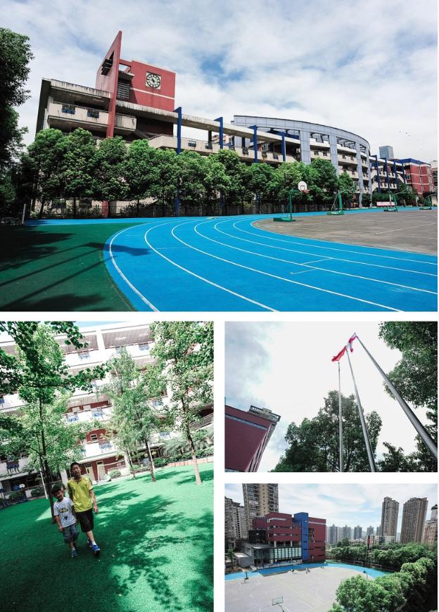 重庆南岸区公立小学学校,重庆南岸区小学排名一览表