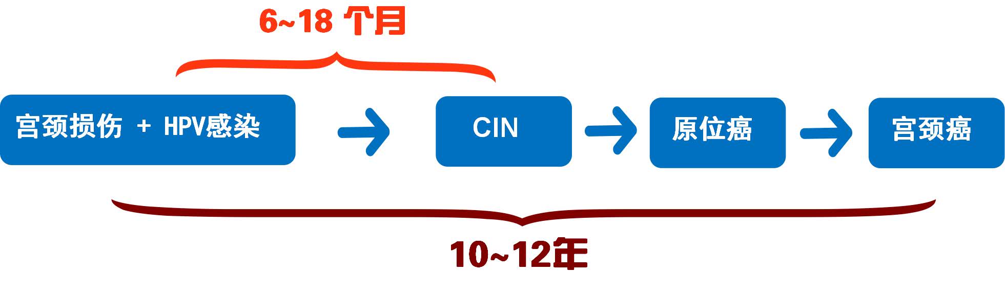 宫颈癌前病变者如何预防宫颈癌,宫颈癌病变早期症状要怎么治疗