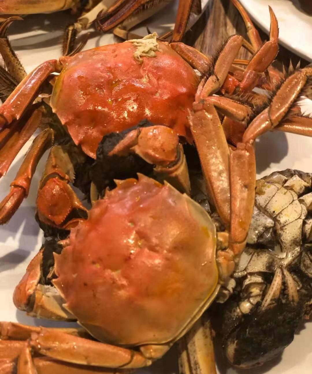 青岛猪肉价格还能降吗,猪肉怎么又涨价了什么原因