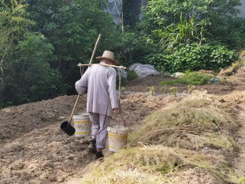 抢抓农时开展农业生产,农民纷纷抢抓春耕生产有利时机