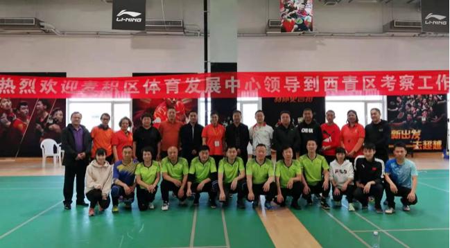 手扑球,手扑球场地图片