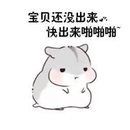 你不知道的趣味冷知识13,你不知道的超有趣冷知识