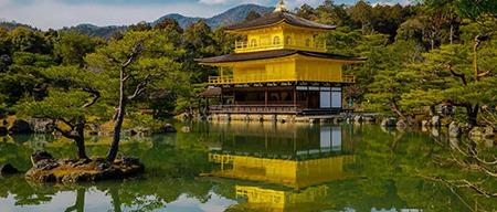 京都风民宿花园,宁波京都风民宿花园效果图