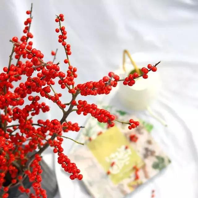 过年家里摆什么植物好,家里过年要摆几样水果