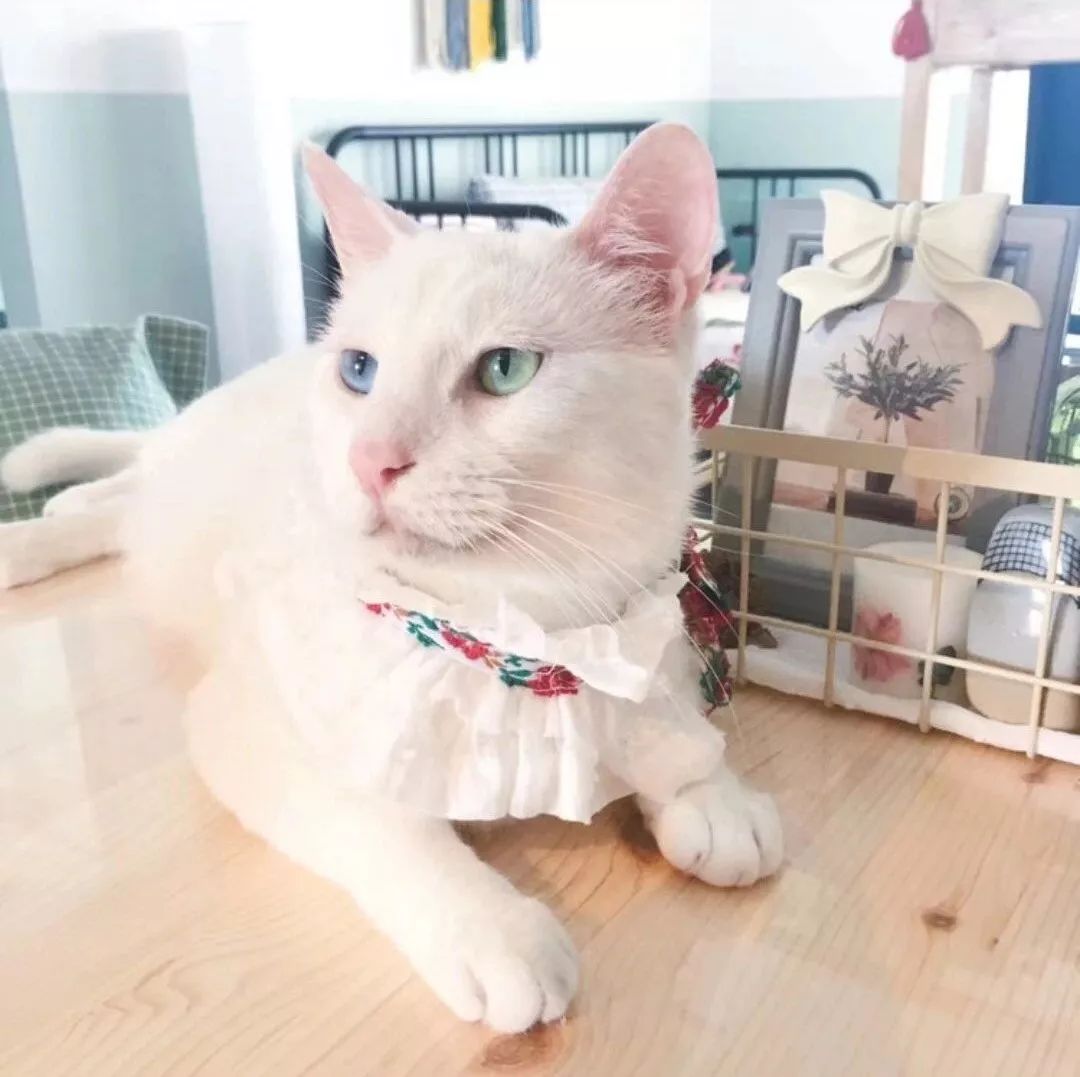 90后设计师妹子仅用5万，将89㎡装成温馨洋房！