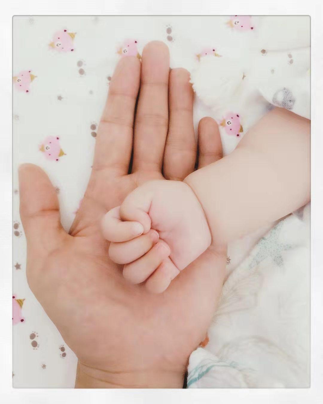 张杰是个怎样的歌手,张杰歌手偶像