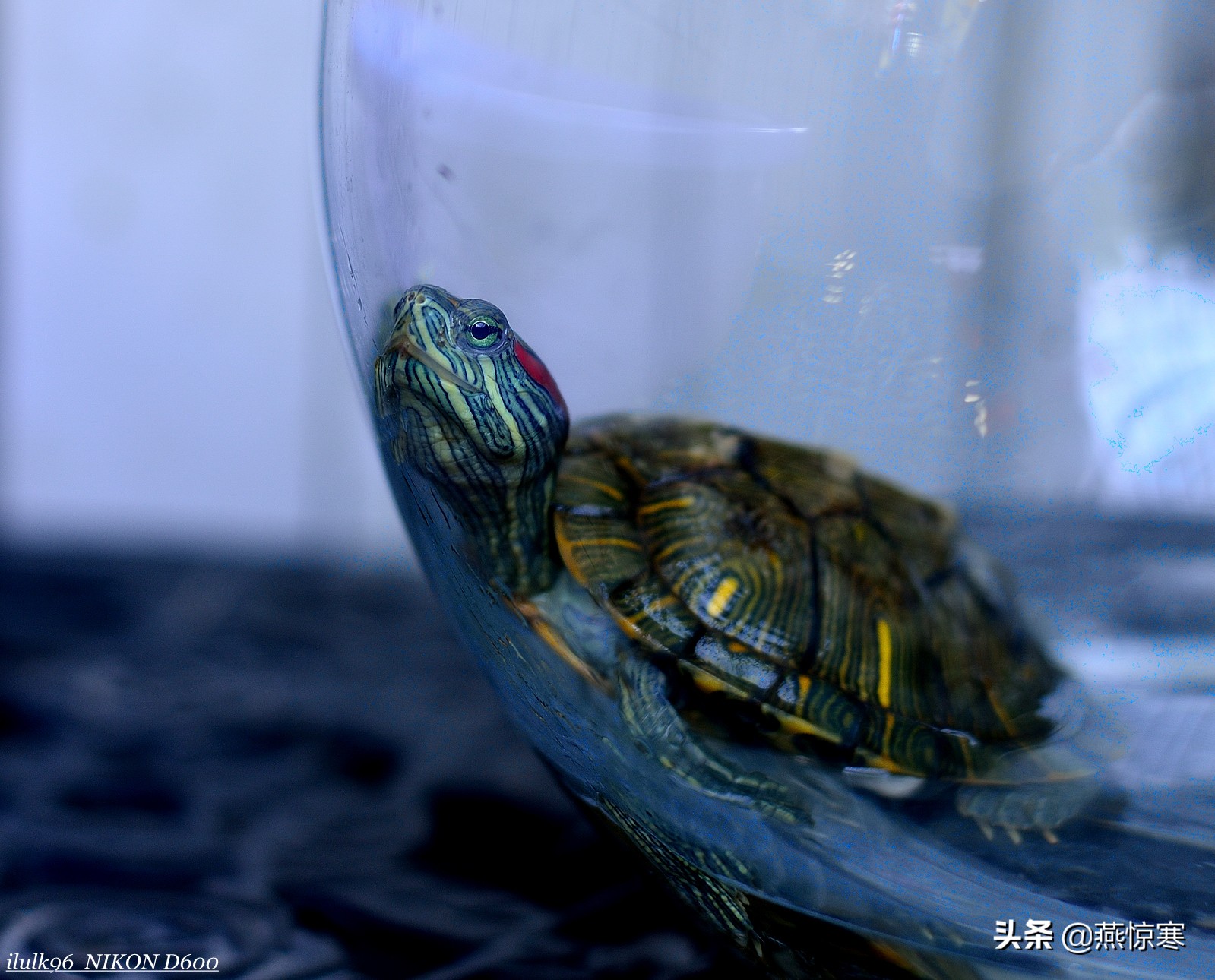 说说我用过的那些相机和镜头（3）：尼康篇