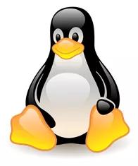 深入探索linux操作系统,linux怎么查看操作系统位数